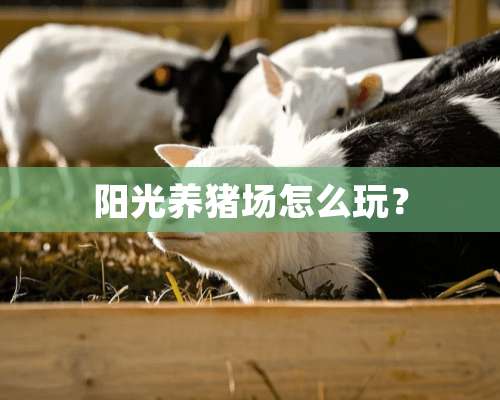 阳光养猪场怎么玩？