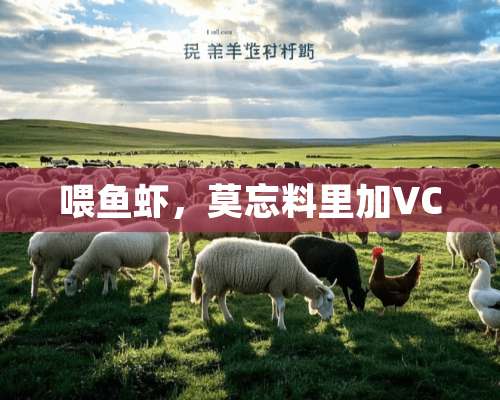 喂鱼虾，莫忘料里加VC