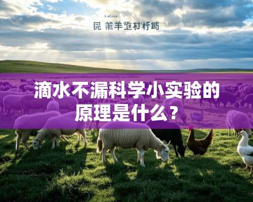 滴水不漏科学小实验的原理是什么？