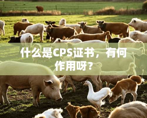 什么是CPS证书，有何作用呀？