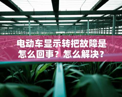 电动车显示转把故障是怎么回事？怎么解决？