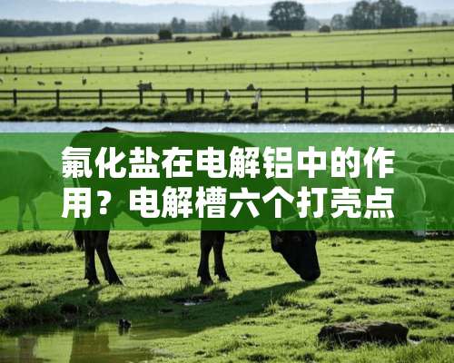 氟化盐在电解铝中的作用？电解槽六个打壳点下的是什么？