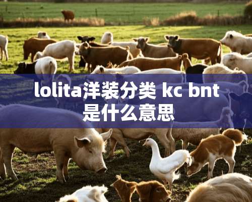 lolita洋装分类 kc bnt 是什么意思