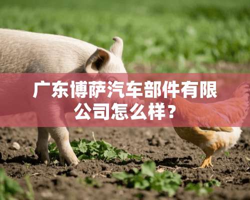 广东博萨汽车部件有限公司怎么样？