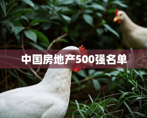 中国房地产500强名单