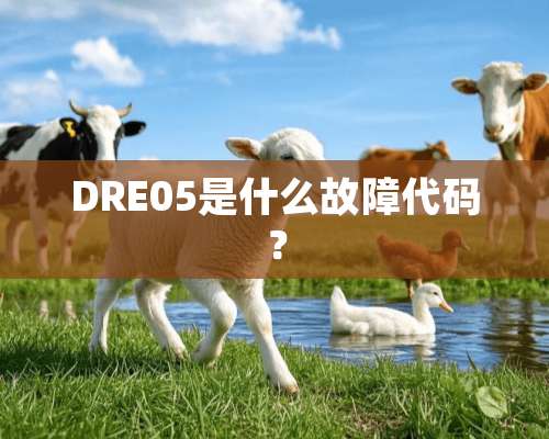 DRE05是什么故障代码？