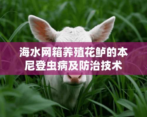 海水网箱养殖花鲈的本尼登虫病及防治技术