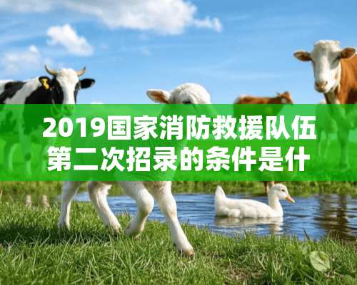 2019国家消防救援队伍第二次招录的条件是什么？