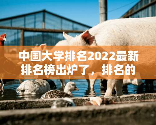 中国大学排名2022最新排名榜出炉了，排名的依据是什么？