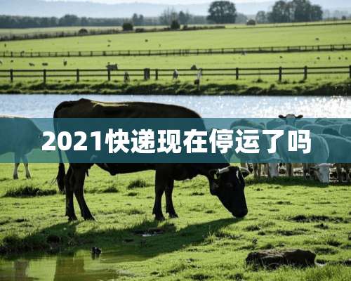 2021快递现在停运了吗