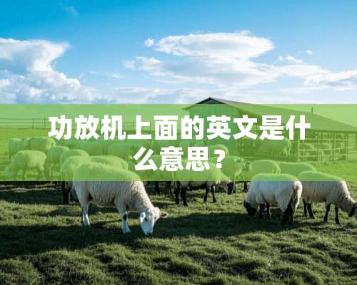 功放机上面的英文是什么意思？