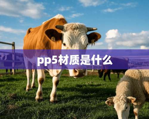 pp5材质是什么