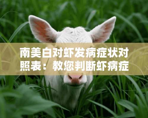 南美白对虾发病症状对照表：教您判断虾病症状！