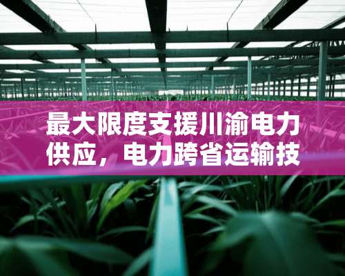 最大限度支援川渝电力供应，电力跨省运输技术上是如何实现的？