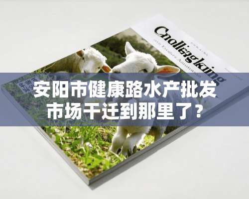 安阳市健康路水产批发市场干迁到那里了？