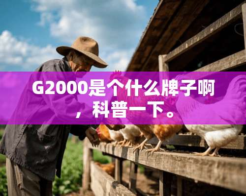 G2000是个什么牌子啊，科普一下。