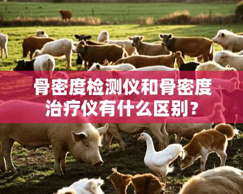 骨密度检测仪和骨密度治疗仪有什么区别？