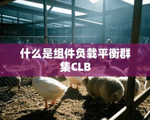 什么是组件负载平衡群集CLB