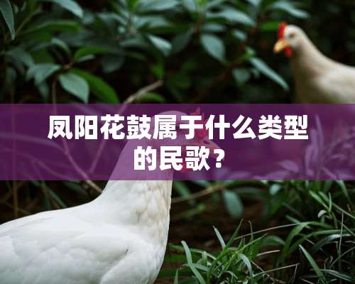 凤阳花鼓属于什么类型的民歌？