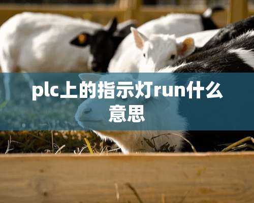 plc上的指示灯run什么意思