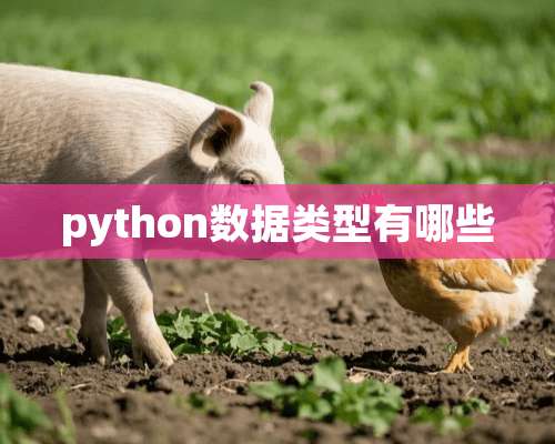 python数据类型有哪些