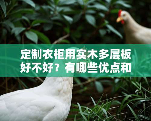 定制衣柜用实木多层板好不好？有哪些优点和缺点？