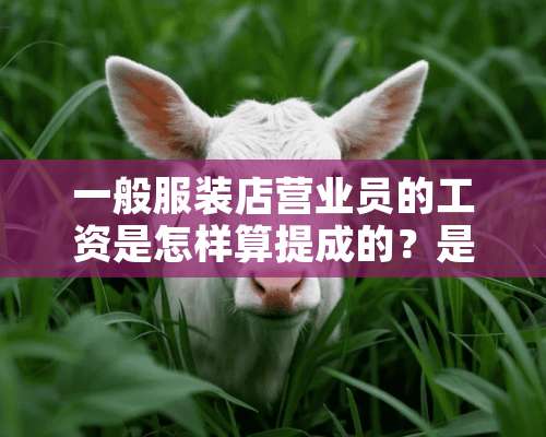 一般服装店营业员的工资是怎样算提成的？是个人算还是一起算？