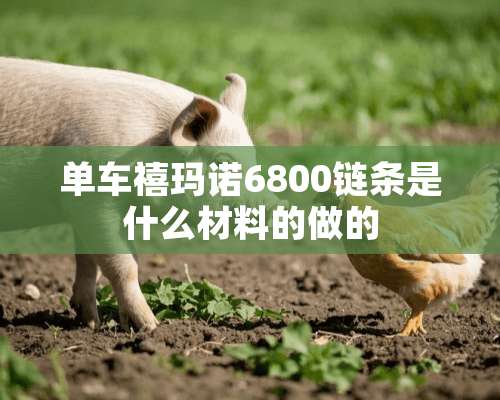 单车禧玛诺6800链条是什么材料的做的