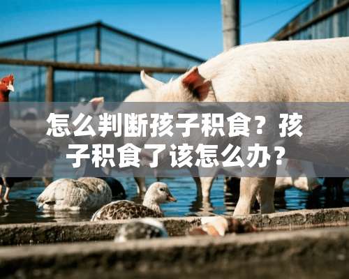 怎么判断孩子积食？孩子积食了该怎么办？