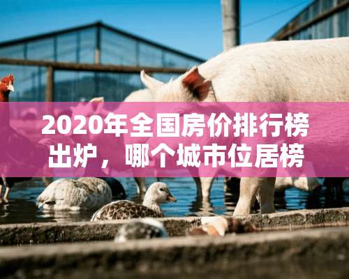 2020年全国房价排行榜出炉，哪个城市位居榜首？