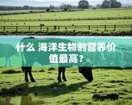 什么 海洋生物的营养价值最高？