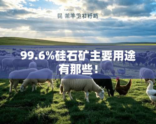 99.6%硅石矿主要用途有那些！