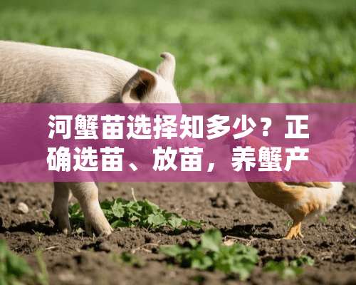 河蟹苗选择知多少？正确选苗、放苗，养蟹产量和效益大大翻倍！