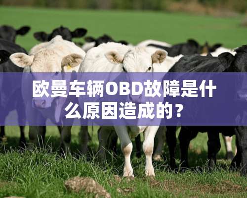 欧曼车辆OBD故障是什么原因造成的？