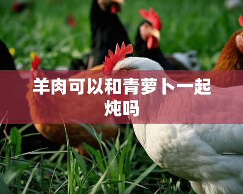 羊肉可以和青萝卜一起炖吗