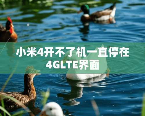 小米4开不了机一直停在4GLTE界面