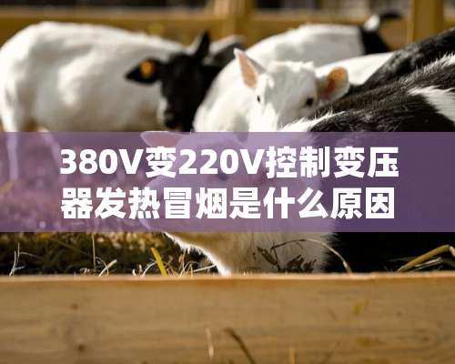 380V变220V控制变压器发热冒烟是什么原因？