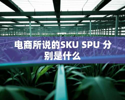 电商所说的SKU SPU 分别是什么