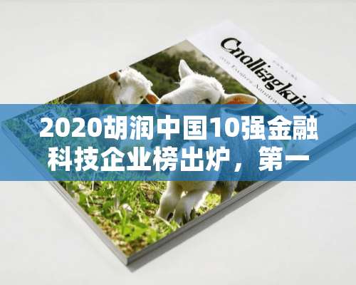 2020胡润中国10强金融科技企业榜出炉，第一是哪个？