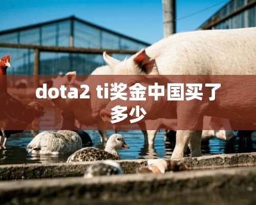 dota2 ti奖金中国买了多少