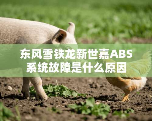 东风雪铁龙新世嘉ABS系统故障是什么原因