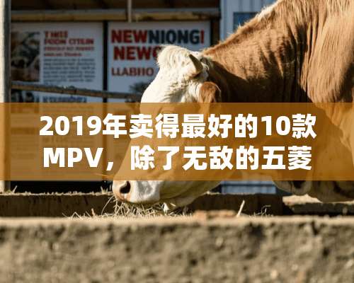 2019年卖得最好的10款MPV，除了无敌的五菱宏光，还有两款日系车