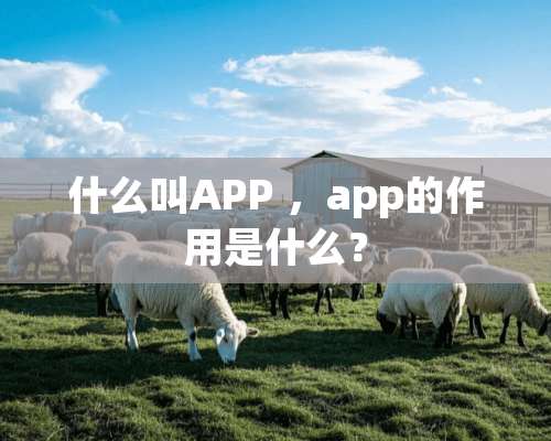 什么叫APP ，app的作用是什么？