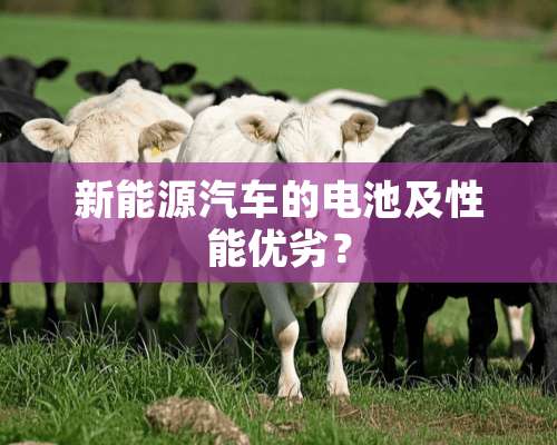 新能源汽车的电池及性能优劣？