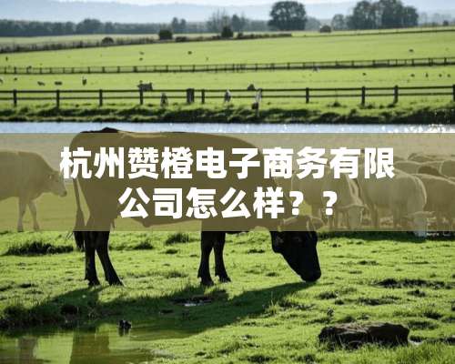 杭州赞橙电子商务有限公司怎么样？？