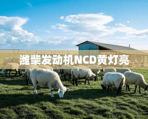 潍柴发动机NCD黄灯亮