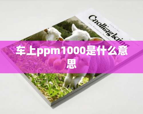 车上ppm1000是什么意思