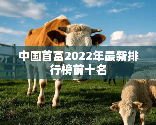 中国首富2022年最新排行榜前十名