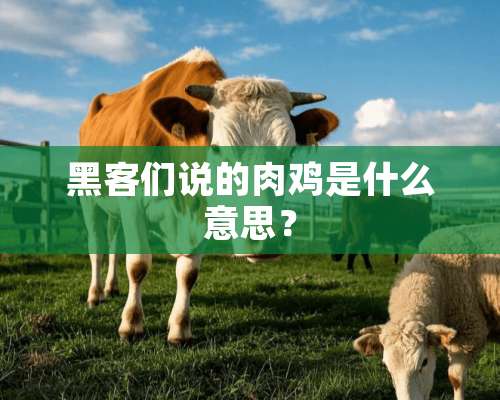 黑客们说的肉鸡是什么意思？