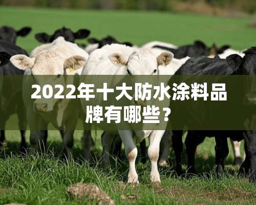 2022年十大防水涂料品牌有哪些？